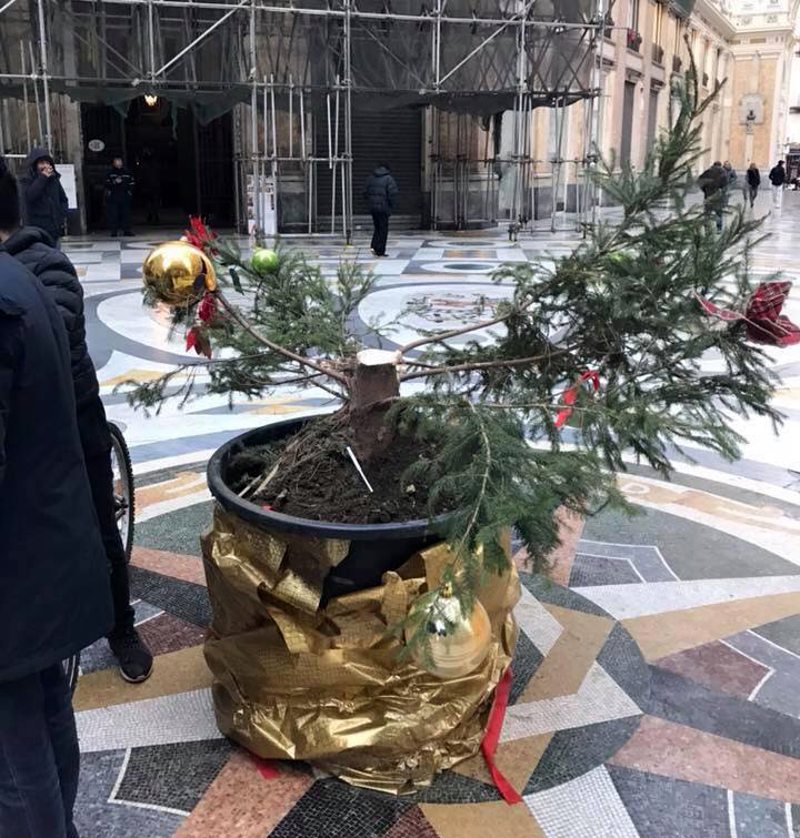 L'albero di Natale nella Galleria Umberto I di Napoli è stato distrutto e rubato, confermando la triste tradizione che si ripete da anni.
